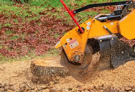 Seasonal Cleanup (Spring/Fall) in St Stephens, NC